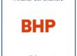 BHP bilancio 2023-24: analisi del fatturato e dei risultati